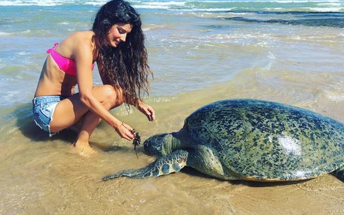 Sri Lanka Yala Safari and Galle Fort Private Day Tour