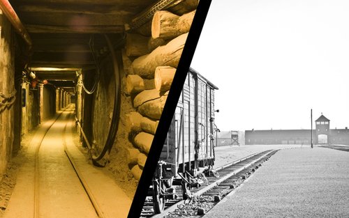 Auschwitz-Birkenau & Wieliczka Salt Mine Tour from Krakow