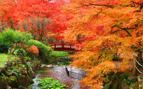 Kinomiya Shrine/Plum Garden, Shuzenji, Niji-no-Sato/Nature Park Tour