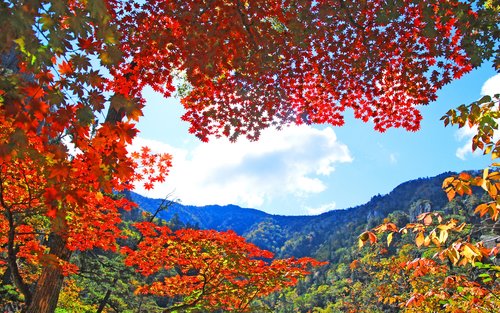 江原道（雪岳山・束草）貸切チャーター