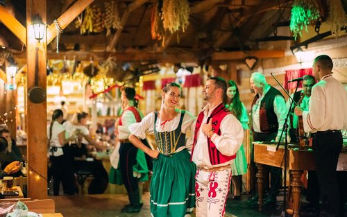 Folkloric Dinner Show Experience in Prague with optional transfer