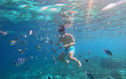 セブ島周辺3大スポット（ナルスアン島、ヒルトゥガン海洋保護区、カオハガン島）アイランドホッピング (日本語サポート/往復送迎 /ランチ）