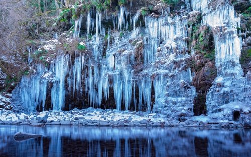 Tour de un día al Santuario Chichibu de Tokio y a los Pilares de Hielo de Mitsuchi (con degustación de sake japonés)