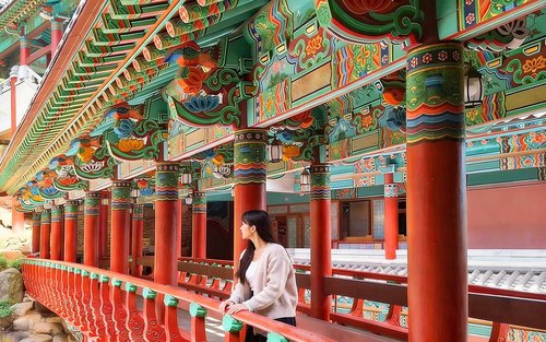 Danyang La joia amagada de Corea Excursió d'un dia des de Seül