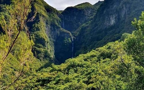 25 Fontes and Risco Levada Hike Transfers 