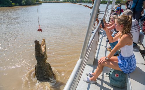 Adelaide River Jumping Crocodile Cruise Tour