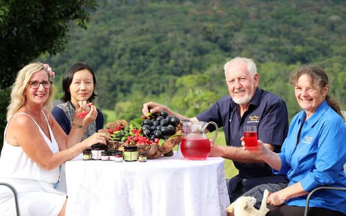 Aventuras de degustación en el Outback desde Cairns y Port Douglas