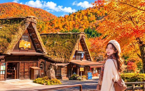 郡上八幡＆飛騨高山＆白川郷合掌集落日帰りツアー