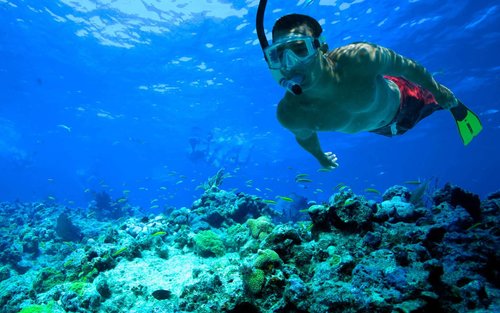 키웨스트 스노클링 체험