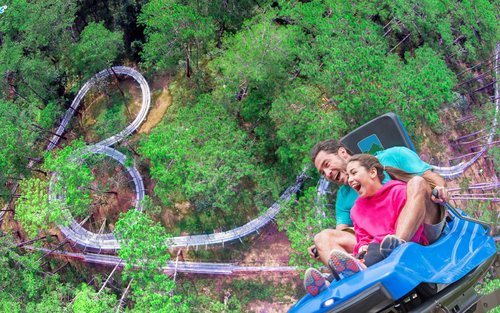Pengalaman Alpine Coaster Baru Datanla di Da Lat