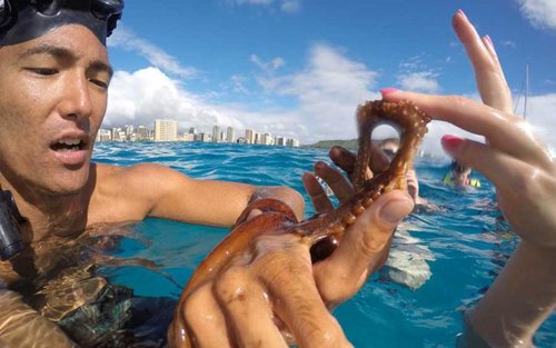 participant with sea creature