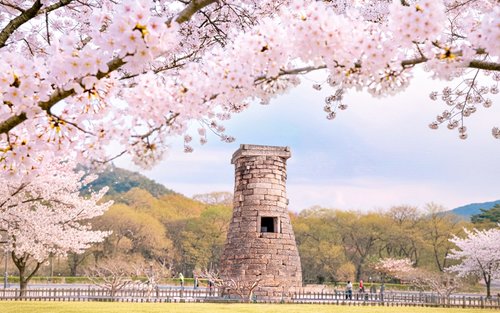Excursión de día completo a Busan Gyeongju: recorrido histórico y cultural