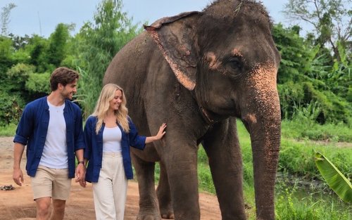 Bangkok Maeklong Railway & Damnoen Saduak Full-Day Tour with Elephant Sanctuary