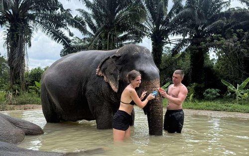 Krabi Tiger Cave Temple & Elephant Green Sanctuary Half-Day Tour