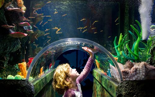 SEA LIFE Melbourne Aquarium Ticket