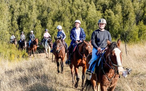 Hunter Valley Day Tours and Experiences