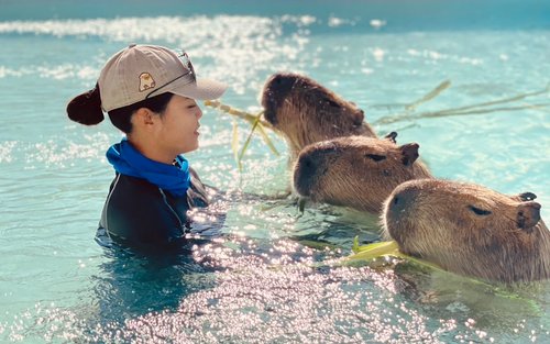 Vé vào Công viên sinh thái Capybara đảo Kenting Luyu