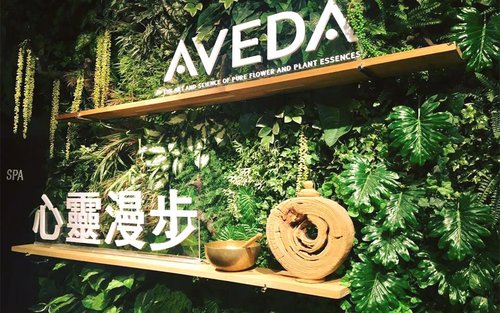Taipei & Taichung: AVEDA Mind & Body Walk - SPA Aromatherapy Massage & Scalp Treatment (Phone reservation required)