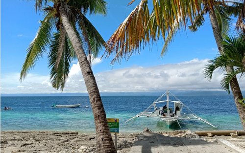 Moalboal Snorkeling Sardine Run, Sea Turtle & Mantayupan Waterfalls