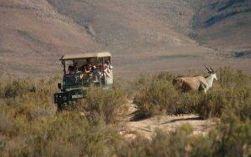 Aquila Private Game Reserve Full-Day Private Tour with Transfers