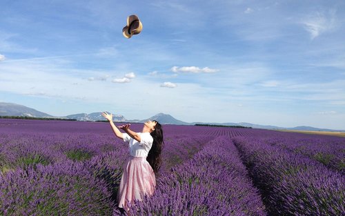 Avignon Valensole Lavender Fields Full-Day Tour