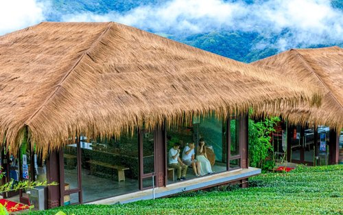 Chiayi Alishan Tsou Tribe & Eryanping Trail Full-Day Private Tour