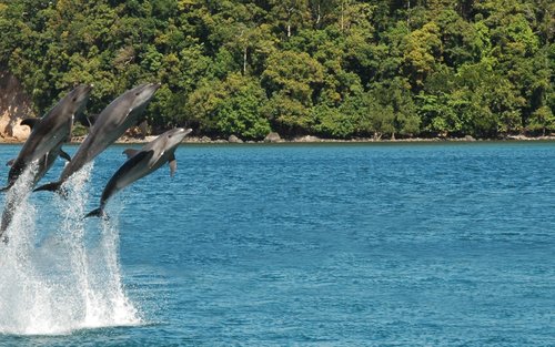 Ocean Adventure Ticket in Subic