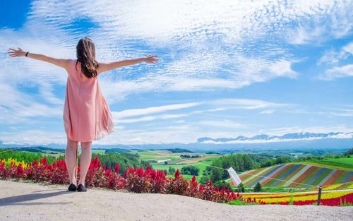 Hokkaido Summer Furano & Biei Day Tour
