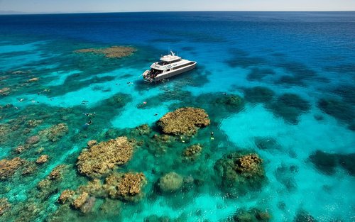 Kalahating Araw na Karanasan sa Snorkel sa Outer Reef mula sa Cairns