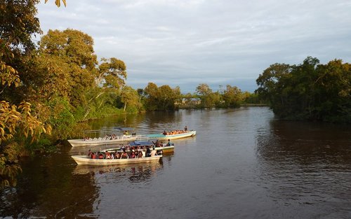 Sarawak Santubong Feuchtgebietstour mit Wildtierbeobachtung und Glühwürmchenbeobachtung