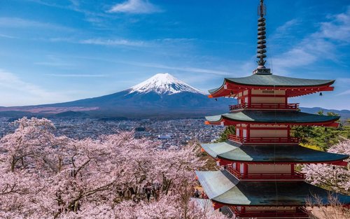 Mount Fuji & Fuji-Q Highland Private Day Trip