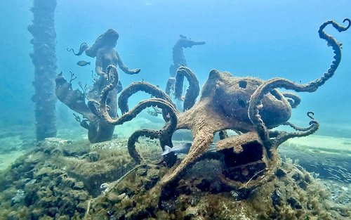 Tour lặn biển ngắm các tác phẩm điêu khắc ở Cầu tàu Busselton