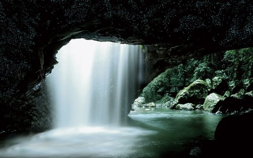 내추럴 브릿지 스프링브룩 국립공원 반딧불 야간 투어