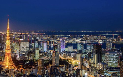도쿄 개인 전세차 일일 투어 (일정 맞춤 설정)