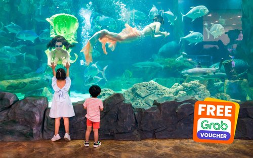 VinKE & Vinpearl Aquarium Ticket in Ha Noi