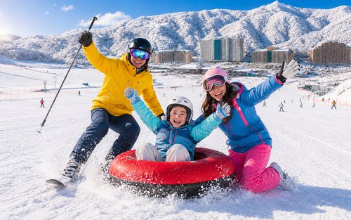 Vivaldi Park Snowy Land endags självguidad tur i Gangwon-do