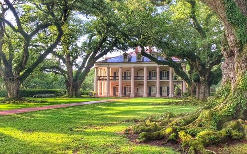 Excursion d'une demi-journée à la plantation Oak Alley au départ de La Nouvelle-Orléans