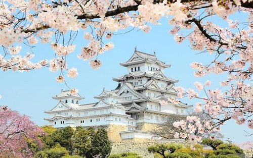 Himeji Half-Day Private Tour with Government-Licensed Guide