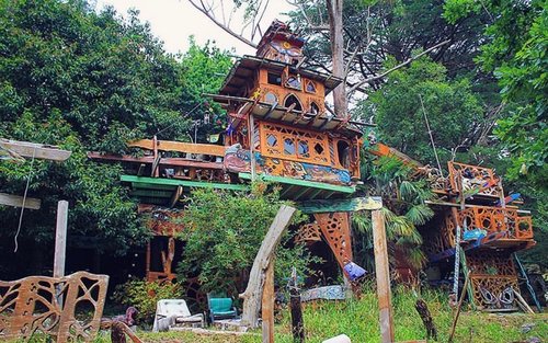 Cement Creek Redwood Forest & Warburton Full-Day Bus Trip