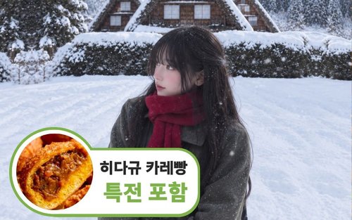 [한국인 가이드 & 리뷰 이벤트] 나고야 출발 시라카와고 다카야마 1일 버스투어