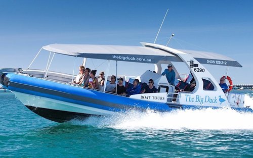 Однодневный тур Seal Island Adventure
