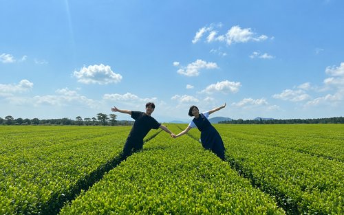 濟州 Osulloc 雪綠茶博物館＆海岸一日遊