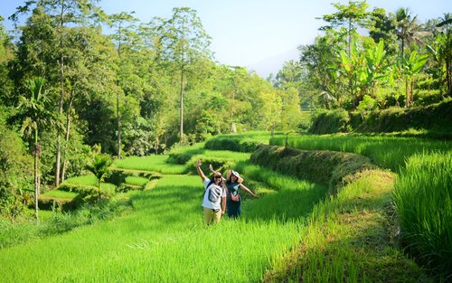 Lombok Tetebatu Full-Day Private Tour