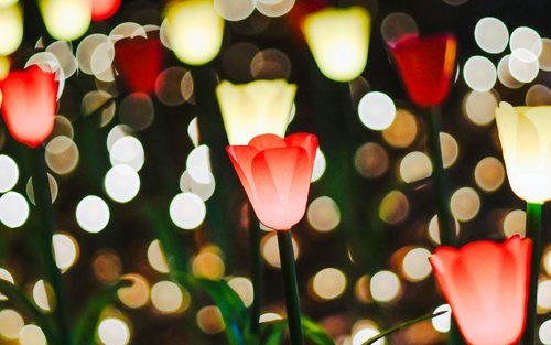 Tokyo Ashikaga Flower Park & Sano Outlets Private Day Tour