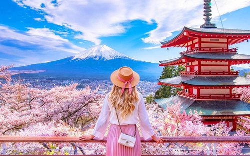 Classic Mt. Fuji Tour | Arakurayama Sengen Park / Mt. Fuji 5th Station Oshino Hakkai & Gotemba Premium Outlets / Hot Spring Day Trip | Departing from Tokyo/Shinjuku