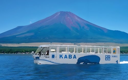 水陸雙視角賞富士山 | 山中湖KABA 兩棲巴士 / 白鳥號遊船任選+平野之濱 + 忍野八海 + 河口湖大石公園 | 家庭優選&東京發車