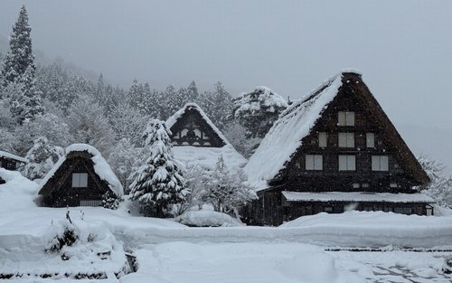 Shirakawa-go & Takayama Full-Day Private Tour