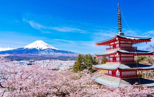 東京富士山忍野八海購物一日遊