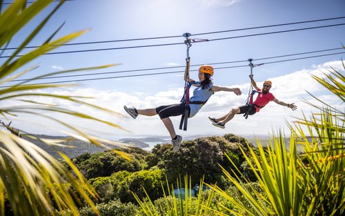 EcoZip Adventures