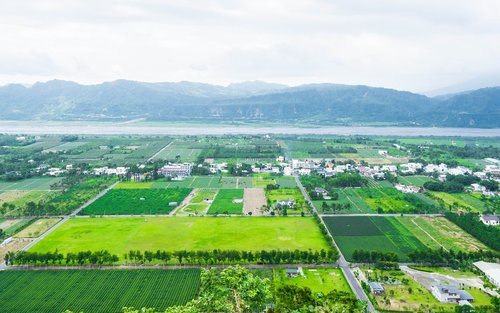 台東｜田野茶園風光半日遊：龍田村＆鹿野高台＆斑鳩冰品